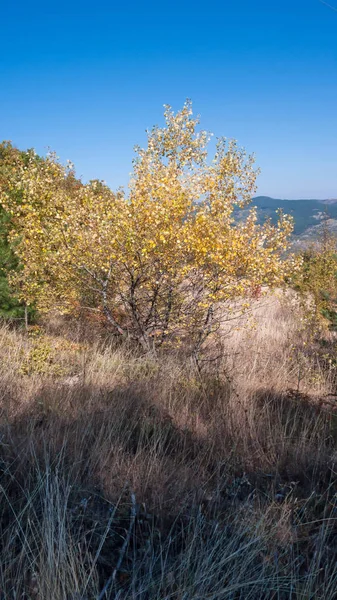 Amazing Autumn Landscape Ruen Mountain Northern Part Vlahina Mountain Kyustendil — Stock Photo, Image