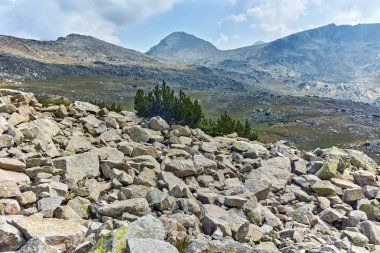 Yaz manzara Spano kutup, Pirin Milli Parkı, Bulgaristan
