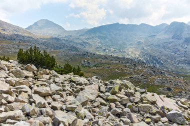 Yaz manzara Spano kutup, Pirin Milli Parkı, Bulgaristan