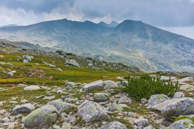 Yaz manzara Spano kutup, Pirin Milli Parkı, Bulgaristan
