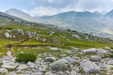 Yaz manzara Spano kutup, Pirin Milli Parkı, Bulgaristan