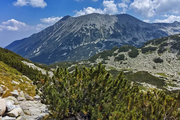 Wspaniałą Panoramę Okolicy Banderitsa Pass Góry Pirin Bułgaria — Zdjęcie stockowe