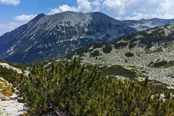 Wspaniałą Panoramę Okolicy Banderitsa Pass Góry Pirin Bułgaria — Zdjęcie stockowe