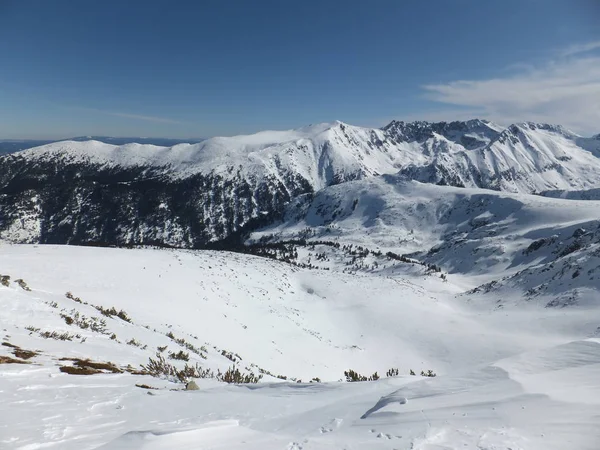 Дивовижна Панорама Взимку Від Вершини Todorka Гори Пірін Болгарія — стокове фото