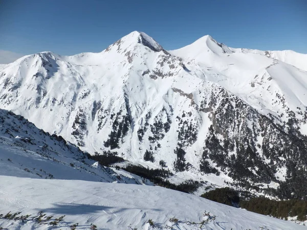 Удивительная Зимняя Панорама Вершины Тодорки Гора Пирин Болгария — стоковое фото