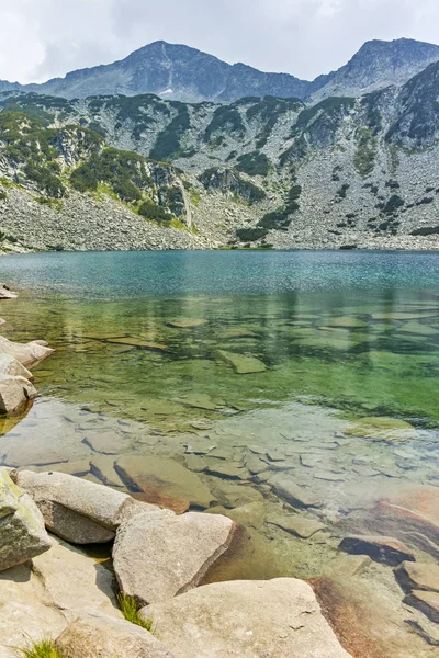 Καλοκαιρινό Τοπίο Banderitsa Ψάρια Στη Λίμνη Στο Βουνό Πίριν Βουλγαρία — Φωτογραφία Αρχείου