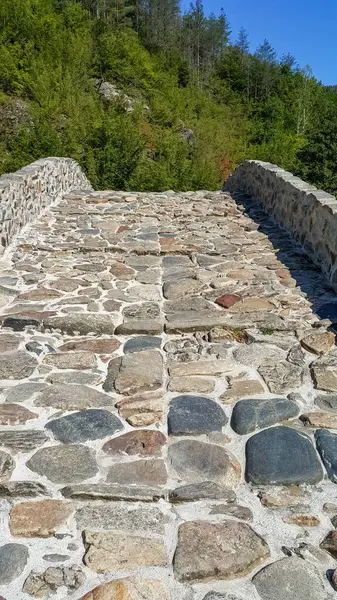 Paisaje Del Puente Del Diablo Medieval Río Arda Montaña Rhodopes — Foto de Stock