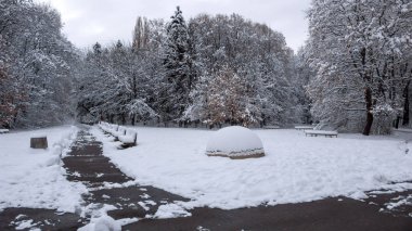 Ağaçlar Bulgaristan Sofya şehir kış manzara South Park kar ile kaplı