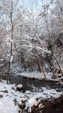 Ağaçlar Bulgaristan Sofya şehir kış manzara South Park kar ile kaplı