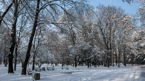 Winter Landscape of South Park with snow covered trees in city of Sofia, Bulgaria