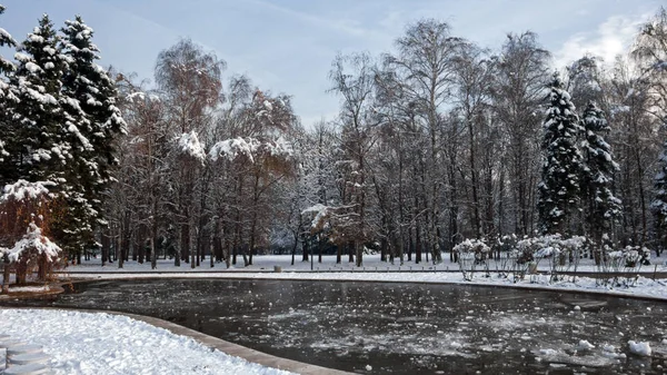 Зимний Пейзаж Южного Парка Заснеженными Деревьями Городе София Болгария — стоковое фото