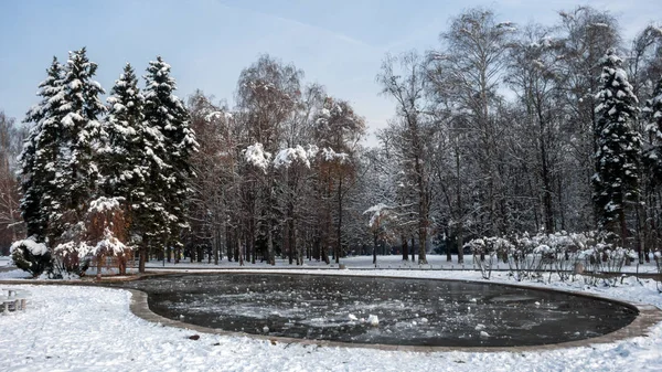 Зимний Пейзаж Южного Парка Заснеженными Деревьями Городе София Болгария — стоковое фото