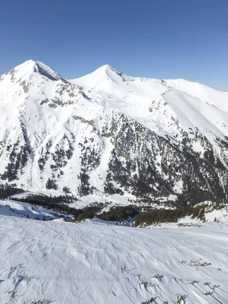 从托多尔卡峰 皮林山 保加利亚惊人的冬季景观 — 图库照片