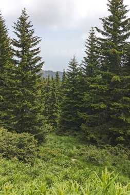 Cherni Vrah zirvesinde Vitosha Mountain, Sofya şehir bölge, Bulgaristan için üzerinden manzara Hiking iz
