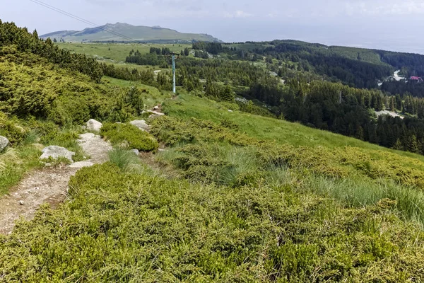 Paesaggio Dal Sentiero Escursionistico Cherni Vrah Picco Sul Monte Vitosha — Foto Stock