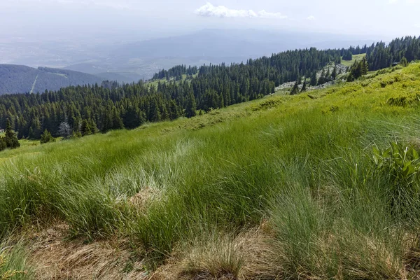 Vitosha 소피아 불가리아에서 Cherni Vrah 피크에 경에서 하이킹 트레일 — 스톡 사진