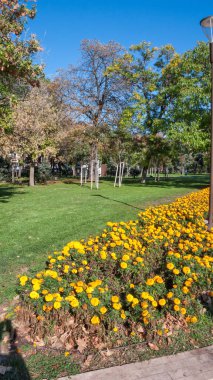 Sofia, Bulgaristan - 5 Ekim 2018: Sofya, Bulgaristan Ulusal Kültür Sarayı önünde Park