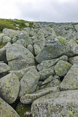 Cherni Vrah zirvesinde Vitosha Mountain, Sofya şehir bölge, Bulgaristan için yaz üzerinden manzara Hiking iz