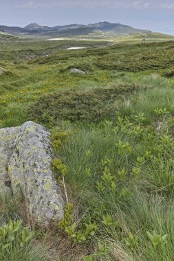 Cherni Vrah zirvesinde Vitosha Mountain, Sofya şehir bölge, Bulgaristan için yaz üzerinden manzara Hiking iz