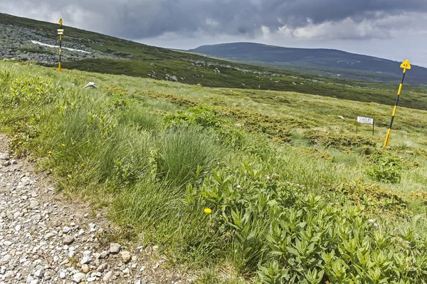 Cherni Vrah zirvesinde Vitosha Mountain, Sofya şehir bölge, Bulgaristan için yaz üzerinden manzara Hiking iz