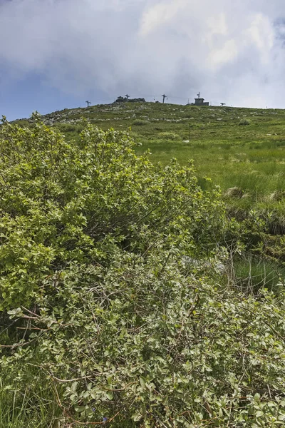 Cherni Vrah Zirvesinde Vitosha Mountain Sofya Şehir Bölge Bulgaristan Için — Stok fotoğraf