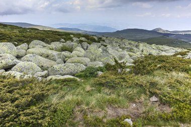 Manzara Vitosha Mountain yakınındaki Cherni Vrah tepe, Sofya şehir bölge, Bulgaristan