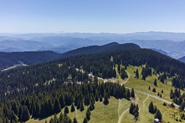 Rodop Dağları'nın yaz yataydan Snezhanka tepe bölge Smolyan, Bulgaristan