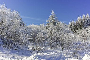 Vitosha Dağı 'nın kış manzarası, Sofya Şehir Bölgesi, Bulgaristan