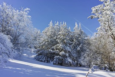 Vitosha Dağı 'nın kış manzarası, Sofya Şehir Bölgesi, Bulgaristan
