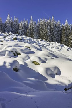 Vitosha Dağı 'nın kış manzarası, Sofya Şehir Bölgesi, Bulgaristan