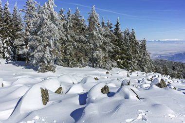 Vitosha Dağı 'nın kış manzarası, Sofya Şehir Bölgesi, Bulgaristan