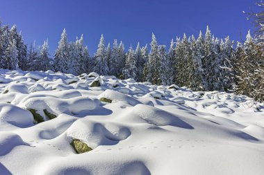 Kış genelolarak Vitosha Mountain, Sofya şehir bölge, Bulgaristan
