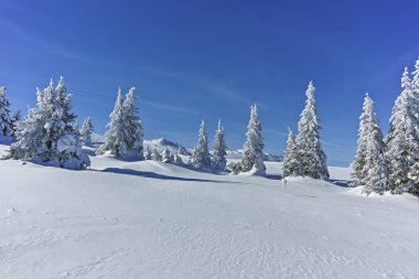 Kış genelolarak Vitosha Mountain, Sofya şehir bölge, Bulgaristan