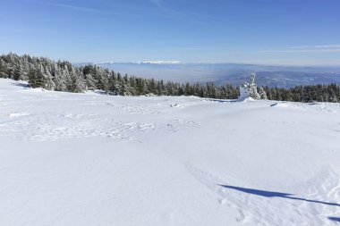 Kış genelolarak Vitosha Mountain, Sofya şehir bölge, Bulgaristan
