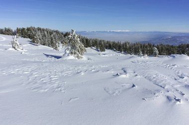 Kış genelolarak Vitosha Mountain, Sofya şehir bölge, Bulgaristan