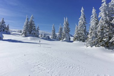 Kış genelolarak Vitosha Mountain, Sofya şehir bölge, Bulgaristan