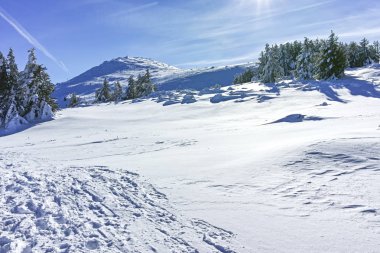Kış genelolarak Vitosha Mountain, Sofya şehir bölge, Bulgaristan