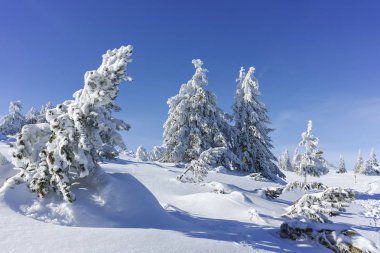 Kış genelolarak Vitosha Mountain, Sofya şehir bölge, Bulgaristan