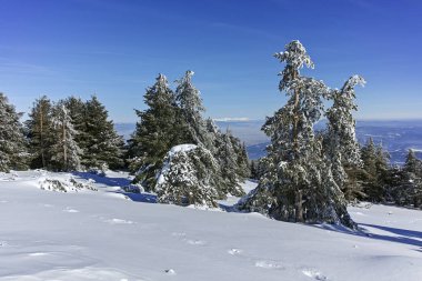Kış genelolarak Vitosha Mountain, Sofya şehir bölge, Bulgaristan