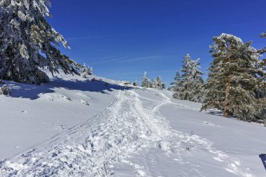 Kış genelolarak Vitosha Mountain, Sofya şehir bölge, Bulgaristan