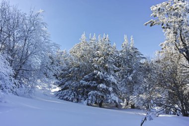 Kış genelolarak Vitosha Mountain, Sofya şehir bölge, Bulgaristan