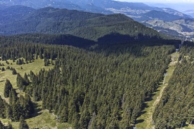 Rodop Dağları'nın yataydan Snezhanka tepe, bölge Smolyan, Bulgaristan