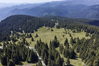Rodop Dağları'nın yataydan Snezhanka tepe, bölge Smolyan, Bulgaristan