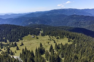 Rodop Dağları'nın yataydan Snezhanka tepe, bölge Smolyan, Bulgaristan