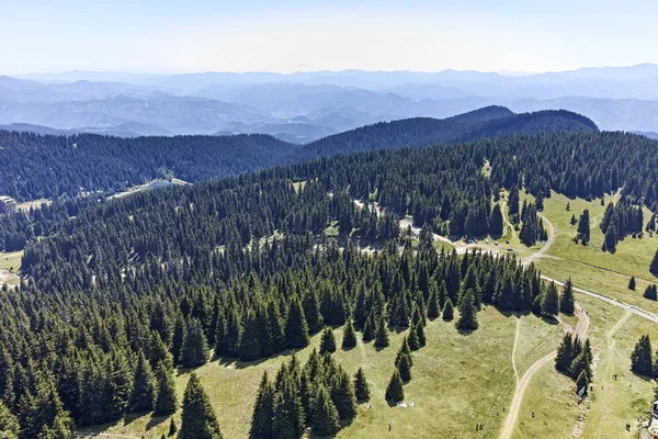 Paisagem Das Montanhas Rhodope Pico Snezhanka Região Smolyan Bulgária — Fotografia de Stock