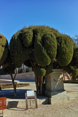 Madrid, İspanya - 22 Ocak 2018: Plaza parter Retiro Park City, Madrid, İspanya