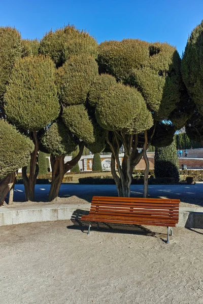 마드리드 스페인 2018 플라자 마드리드 스페인에서 공원에서 — 스톡 사진