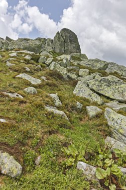 Cherni Vrah tepe, Sofya şehir bölge, Bulgaristan'dan Vitosha Mountain yeşil tepeler ile Panorama