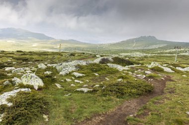 Cherni Vrah tepe, Sofya şehir bölge, Bulgaristan'dan Vitosha Mountain yeşil tepeler ile Panorama