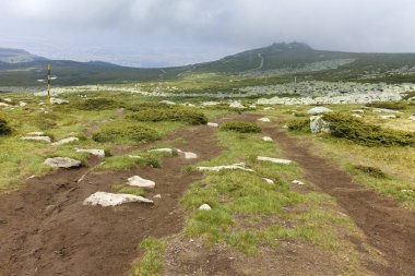 Cherni Vrah tepe, Sofya şehir bölge, Bulgaristan'dan Vitosha Mountain yeşil tepeler ile Panorama